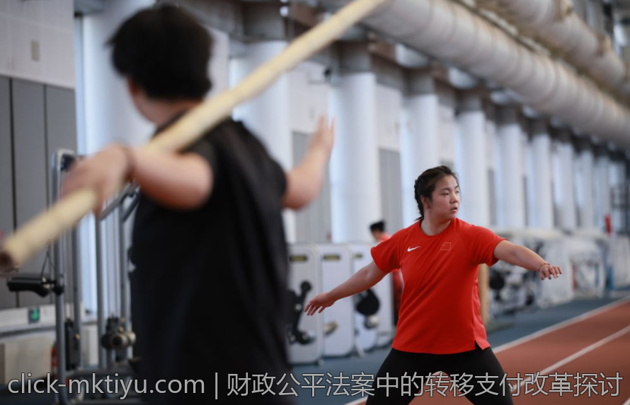 财政公平法案中的转移支付改革探讨